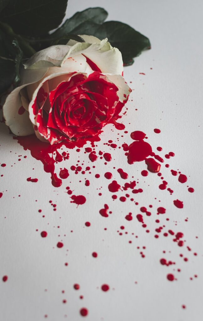 red and white rose petals on white table